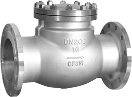 Check Valve
